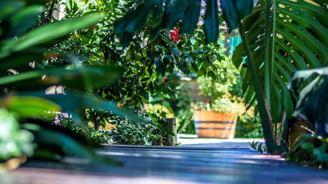 86 On Langenhoven Bed & Breakfast Oudtshoorn Eksteriør bilde