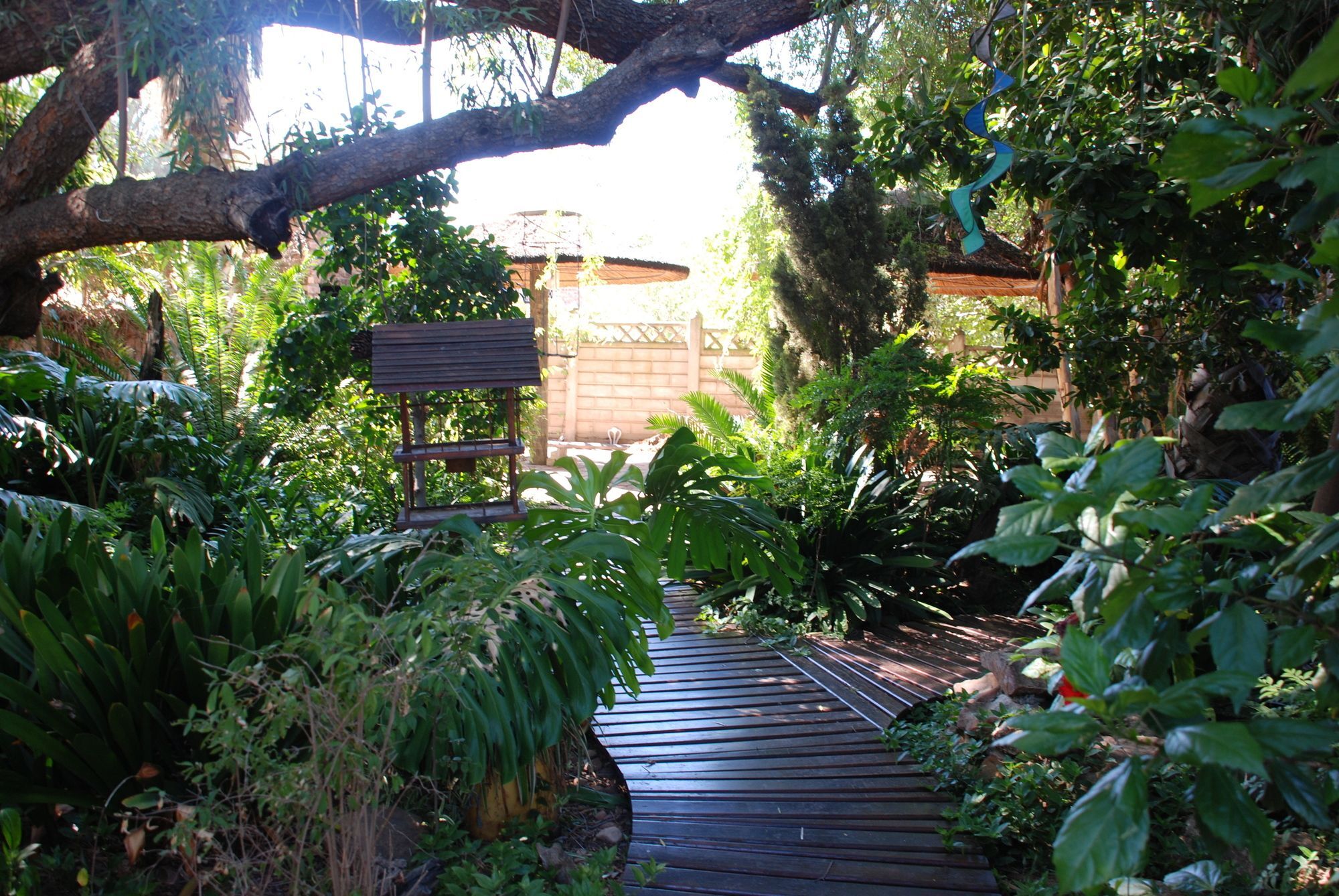 86 On Langenhoven Bed & Breakfast Oudtshoorn Eksteriør bilde